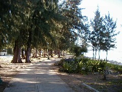 Micronesia Saipan Trips